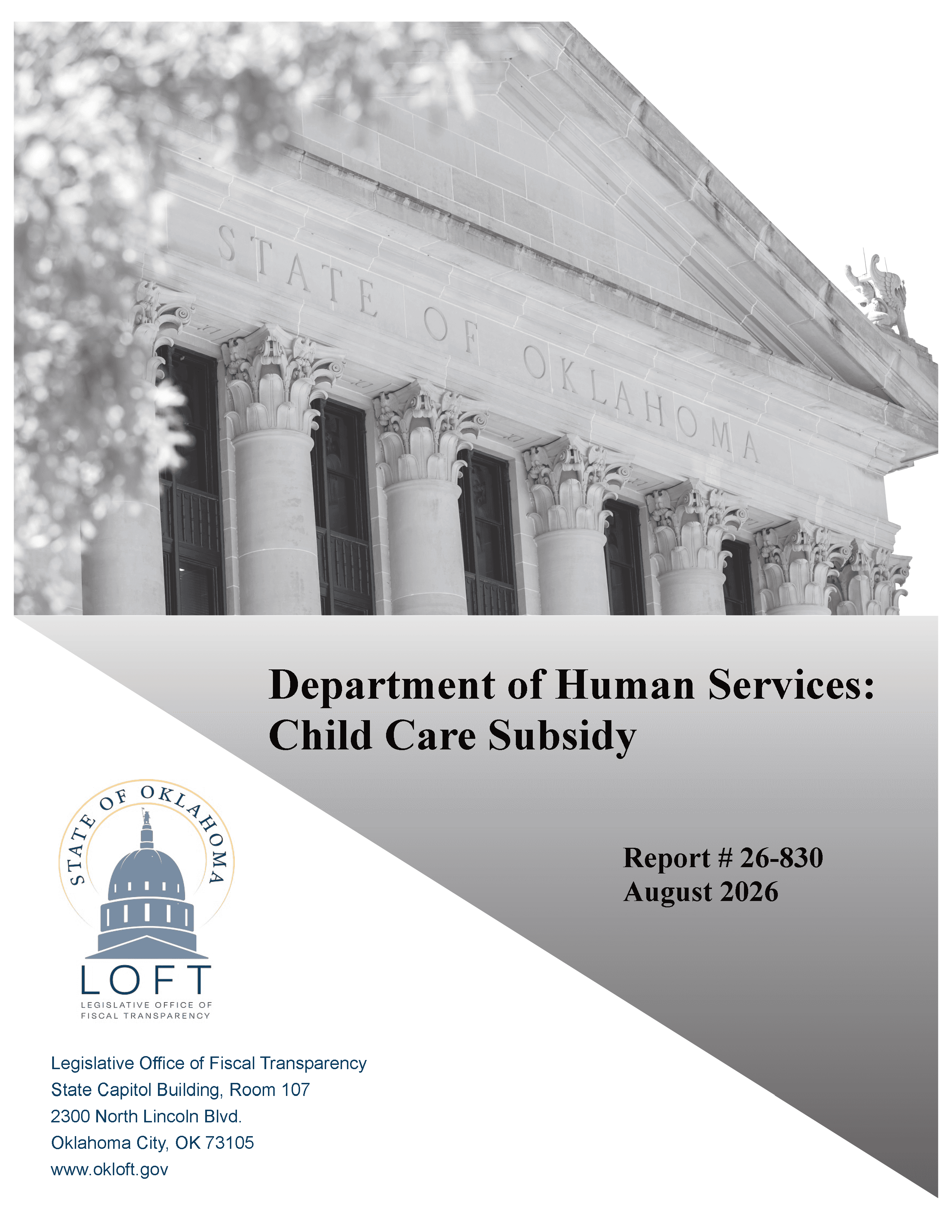preview of DHS Child Care Subsidy Report and Resources